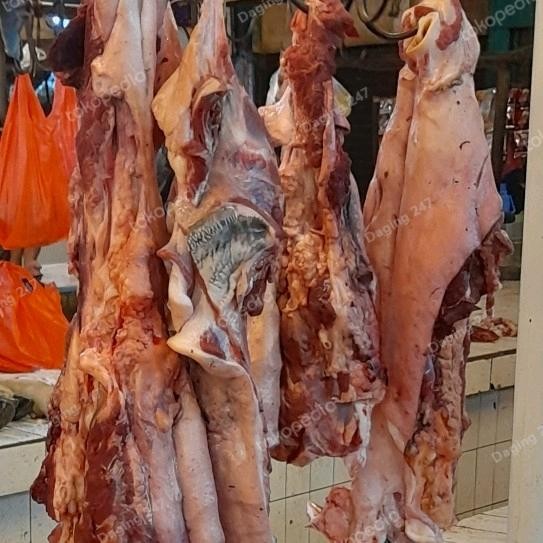 

BeliSkrg,KirimHariini- Daging Kepala Sapi Segar Fresh Lokal Headmeat