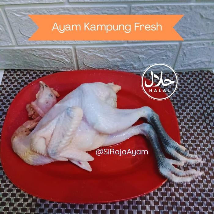 

BeliSkrg,KirimHariini- Ayam Kampung Fresh Halal Bogor