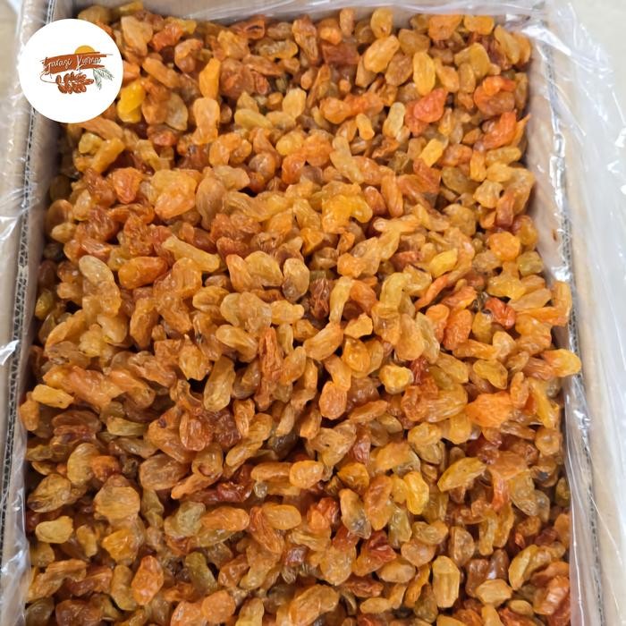 

PastikanDikirimLgsg- Kismis Golden Yellow Raisins 500g