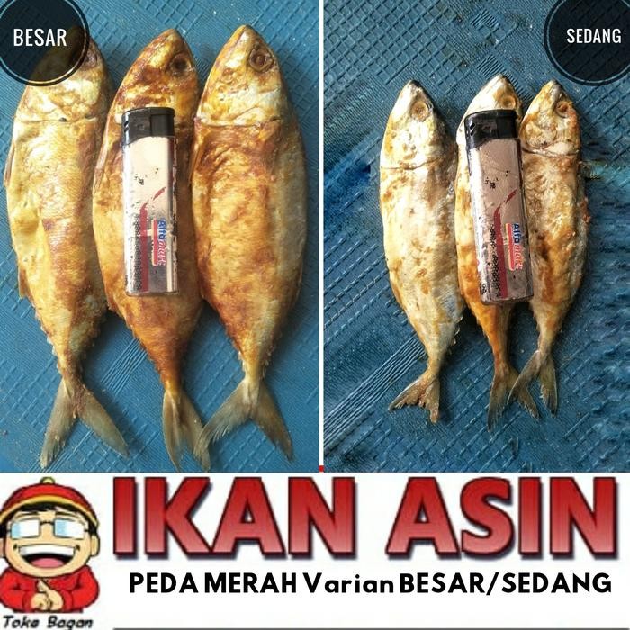 

PastikanDikirimLgsg- IKAN ASIN PEDA MERAH 500 gr