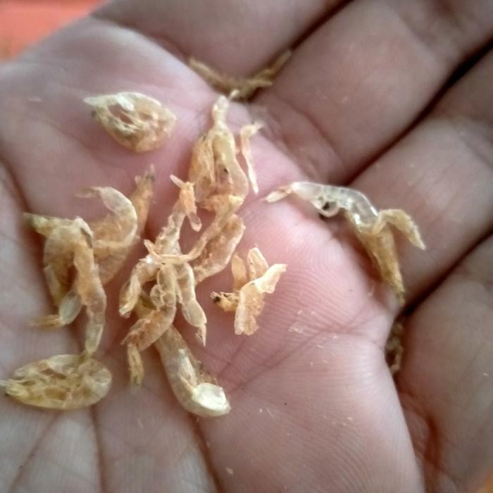 

PastikanDikirimLgsg- udang rebon kering tawar 500 gram