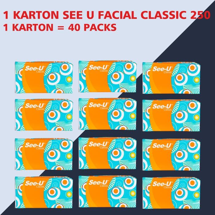 1 dus see u facial classic 250s/ see u facial classis 250 sheets