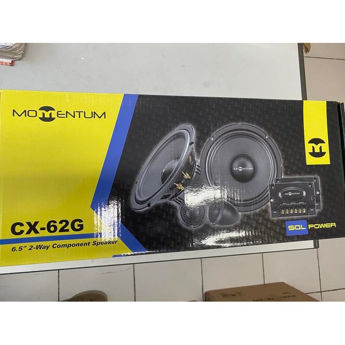 Speaker Momentum CX-62G Split 2 way component