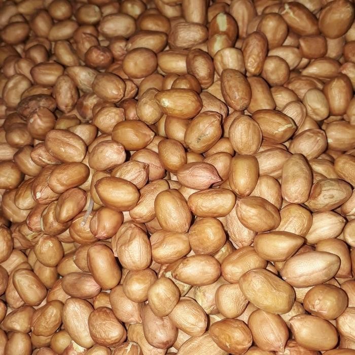 

PastikanTerjaminMutunya- Kacang Tanah Super. Asli Tuban