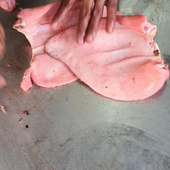 

BnyKBonusBelidiMari- Kuping Babi Fresh (sepasang)