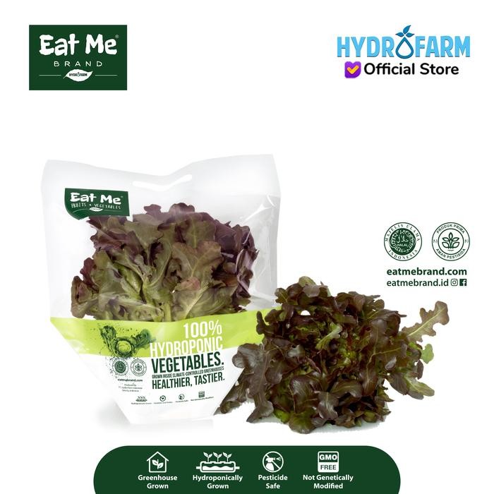 

BnyKBonusBelidiMari- Sayur Selada Red Oakleaf/Red Oakleaf Lettuce Hidroponik - Eat Me Brand