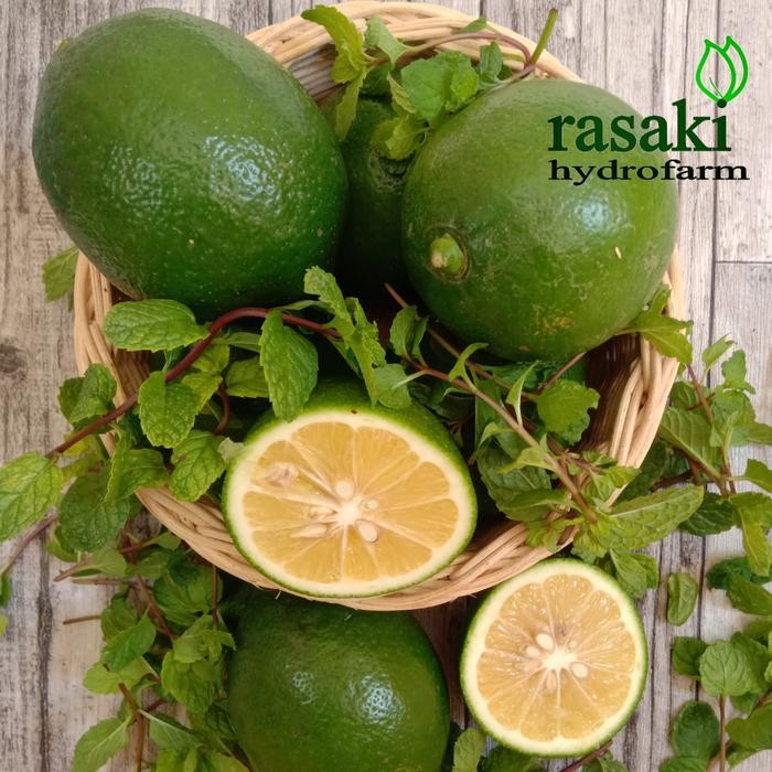 

BnyKBonusBelidiMari- lemon california hijau lokal organik 1 kg