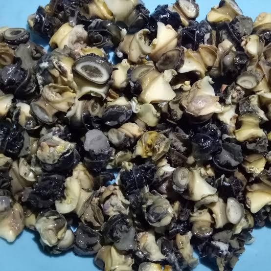 

BnyKBonusBelidiMari- Daging keong sawah / tutut 1 kg bersih