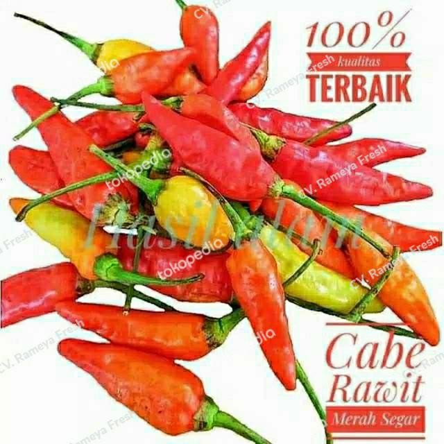 

BnyKBonusBelidiMari- CABE / CABAI RAWIT MERAH 1 kg 1kg
