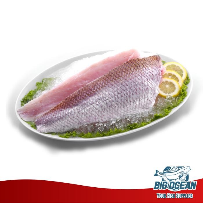 

PastiFreShNya- Anggoli Fillet Kakap Anggoli Fillet @1kg