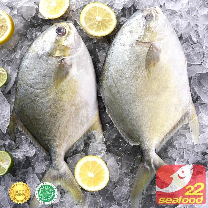 

BnyKBonusBelidiMari- Ikan Bawal Bintang 1 Kg / Bawal Jepang Marukoban / Seafood 22