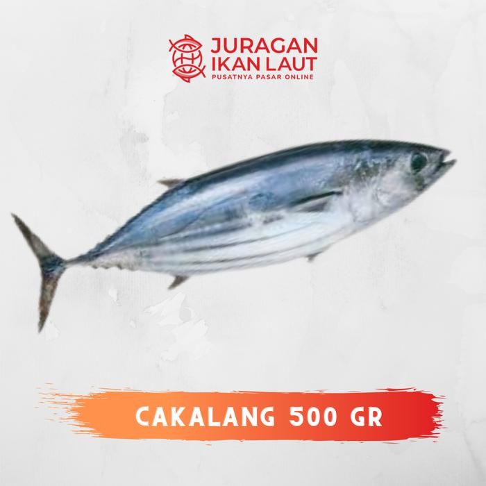 

PastiFreShNya- Ikan Tongkol Cakalang Segar Berkualitas - 500 Gram