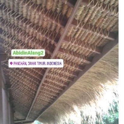 Terapitrendy Atap Ilalang 20Pcs/Atap Alang Alang/Atap Gazebo/Atap Saung