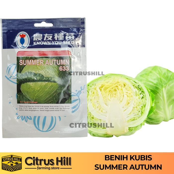 Terlaris Benih Kubis / Kol Cabbage Summer Autumn Known You Seed 10gr