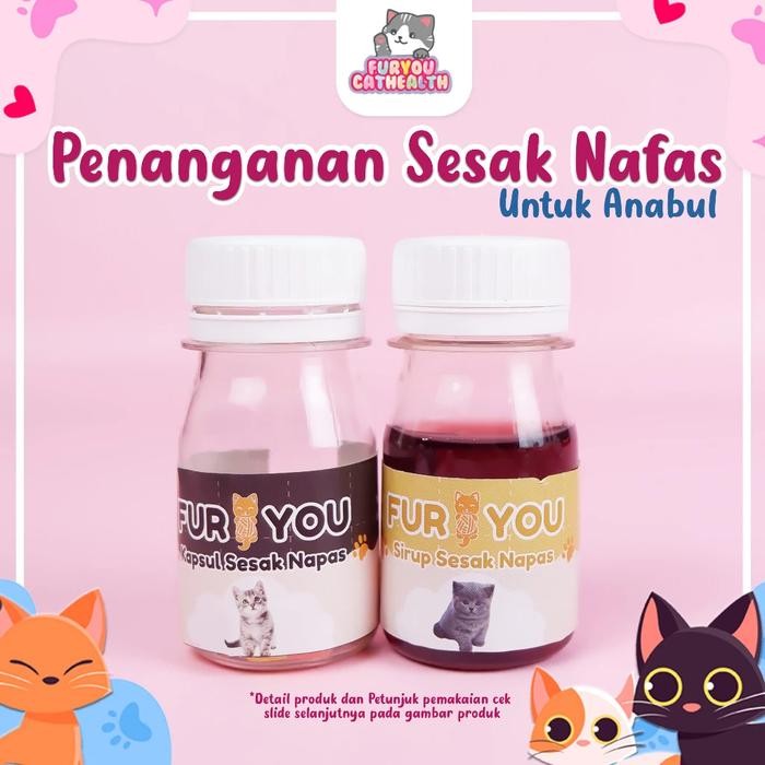 sesak nafas kucing kapsul kucing sesak nafas kucing grok grok