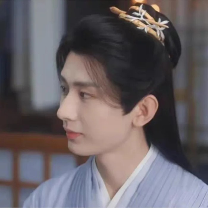 Film Television Mysterious Lotus Casebook Hairpin Li Lianhua Cheng Yi