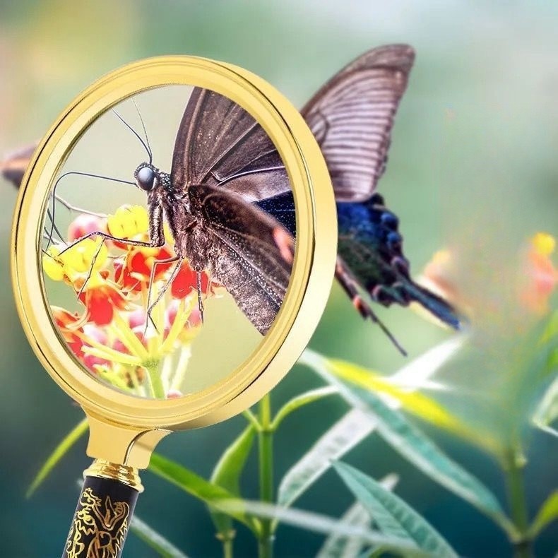 

JH8 12X HD Lensa optik Kaca Pembesar 80 mm Loupe Magnifying Glass Lup Kaca Pembesar.