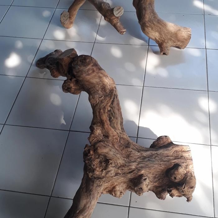 Pawfect Grooming Tangkringan Iguana Kadal Reptile Ukuran Jumbo