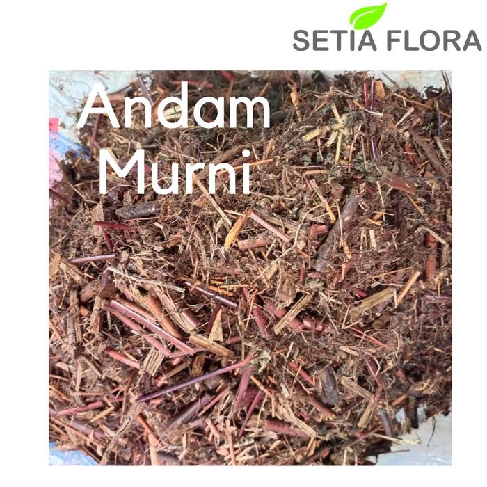 Media Tanam Humus Andam Murni Karungan