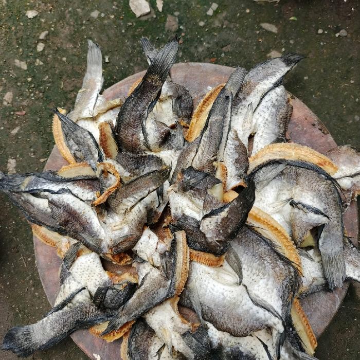 

Terlaris- Ikan Asin Gabus Kering Khas Medan 1 Kg Murah
