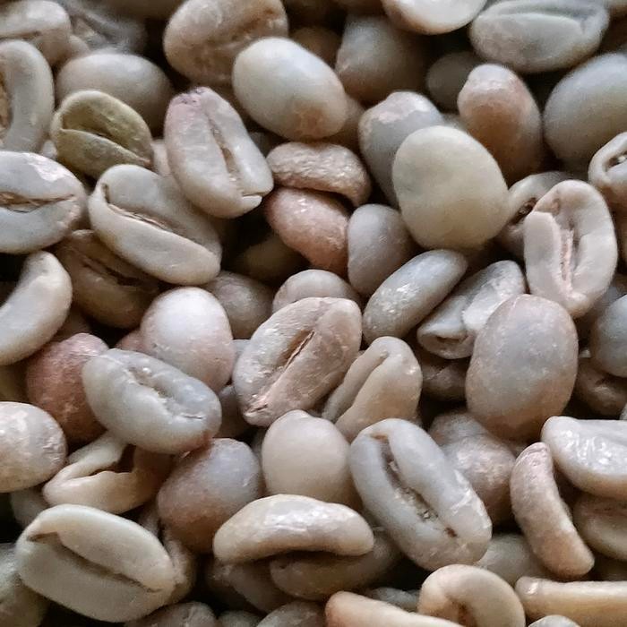 

Green bean arabika Arabika Argopuro Arabika natural biji kopi