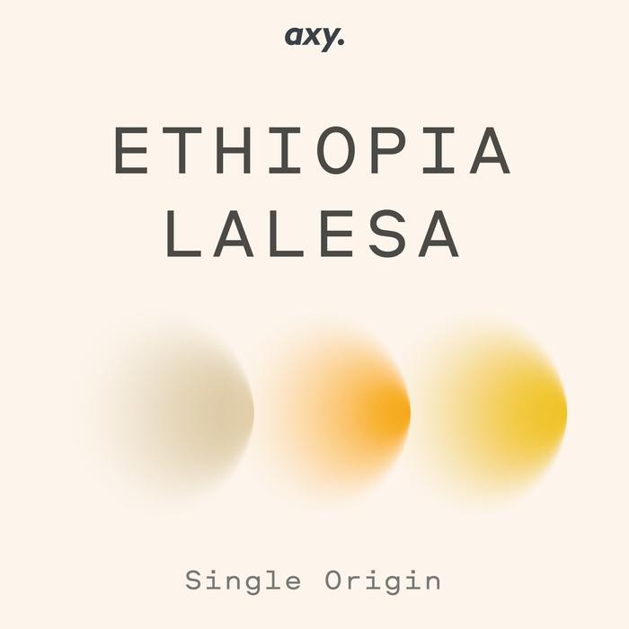 

ETHIOPIA YIRGACHEFFE NATURAL - BIJI KOPI ARABIKA