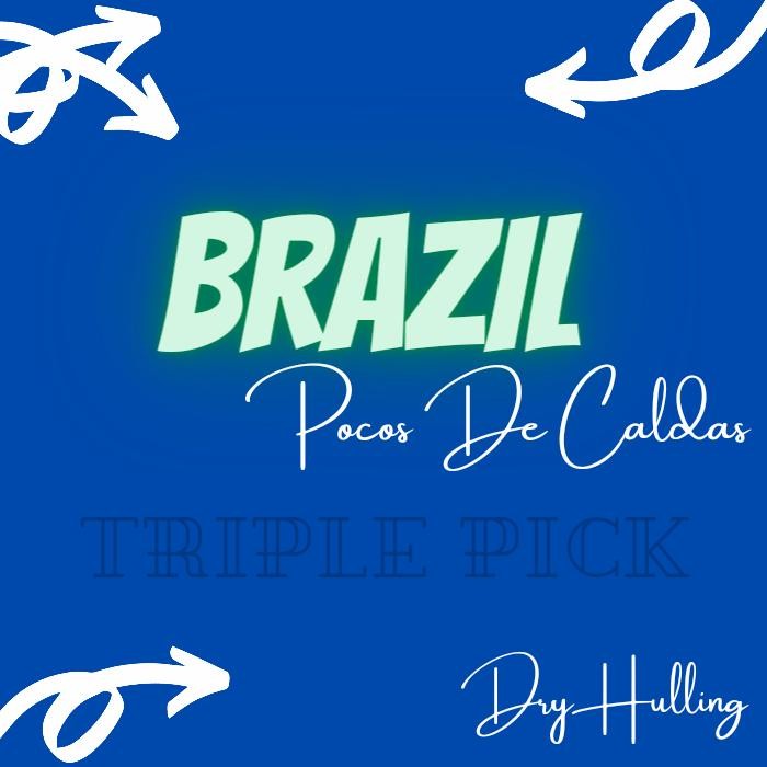 

Green bean / biji kopi Arabika import BRAZIL POCOS DE CALDAS - Dryhull