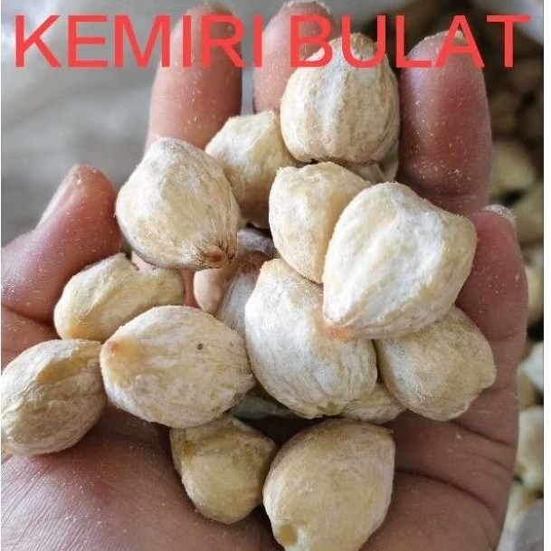 

KEMIRI MEDAN BULAT, KEMIRI UTUH 1 kg