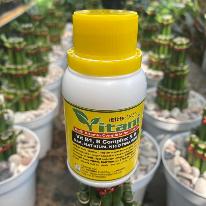 JTTOP" VITAMIN B1 UNTUK TANAMAN MENJADI SEGAR ASLI 100ML