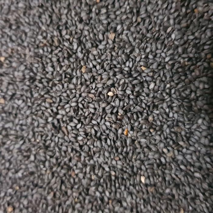 

JTTOP" BASIL SEED / BIJI SELASIH IMPORT PER 1 KG REPACK / GROSIR