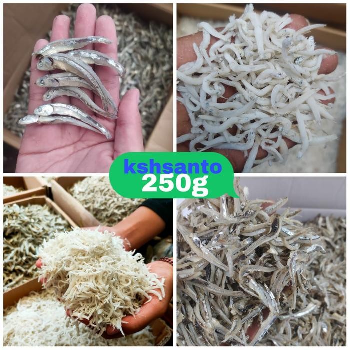 

JTTOP" IKAN ASIN ANEKA TERI MEDAN NETTO-250G