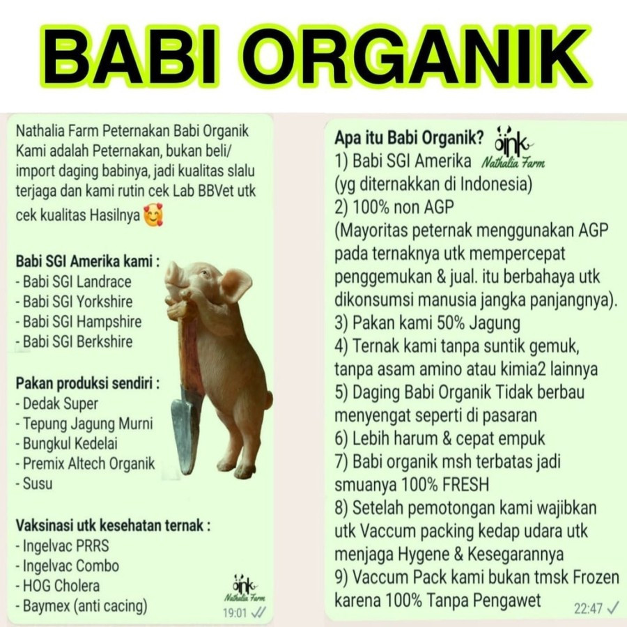 

Restokobar Kerupuk Kulit Babi - Kerupuk Samcam Babi - Samcam Goreng Bumbu - Babi Organik - Nathalia