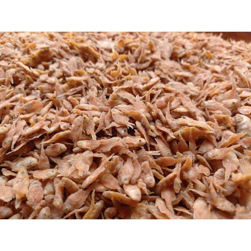 

Eumsig Ikan Pepetek Crispy Extra Kecil Baby Fish 500 Gram Daun Jeruk