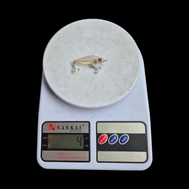 [Ready] Swimmer / SwimBait Lure untuk Casting Hampala - Baby GT