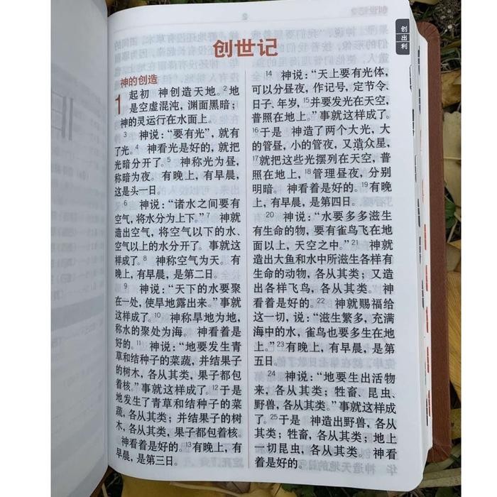 TERLARIS ALKITAB MANDARIN TULISAN BESAR/CHINESE BIBLE / BROWN COVER READY