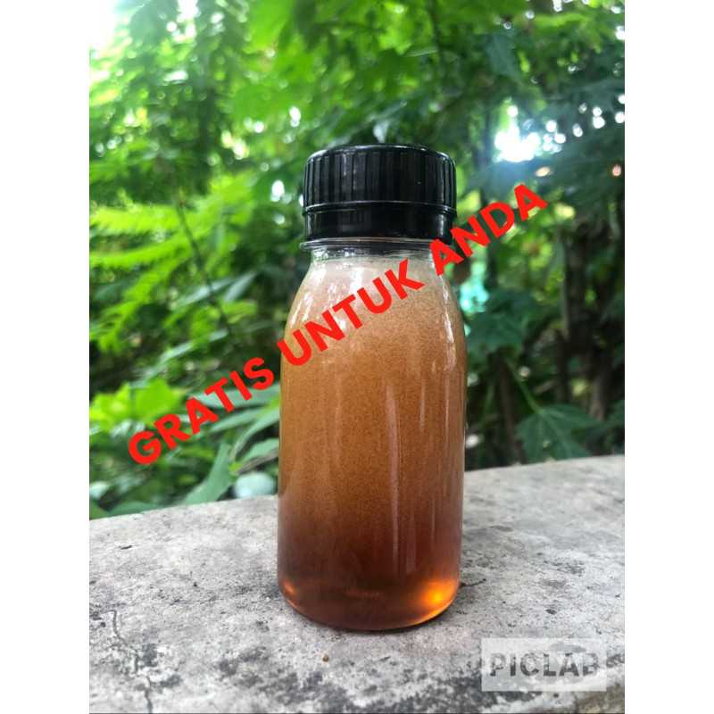 

madu hitam pahit sumbawa plus beepolen propolis asli 1kg