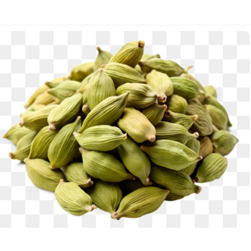 

Kapulaga Hijau / Green Cardamom - 5 gr