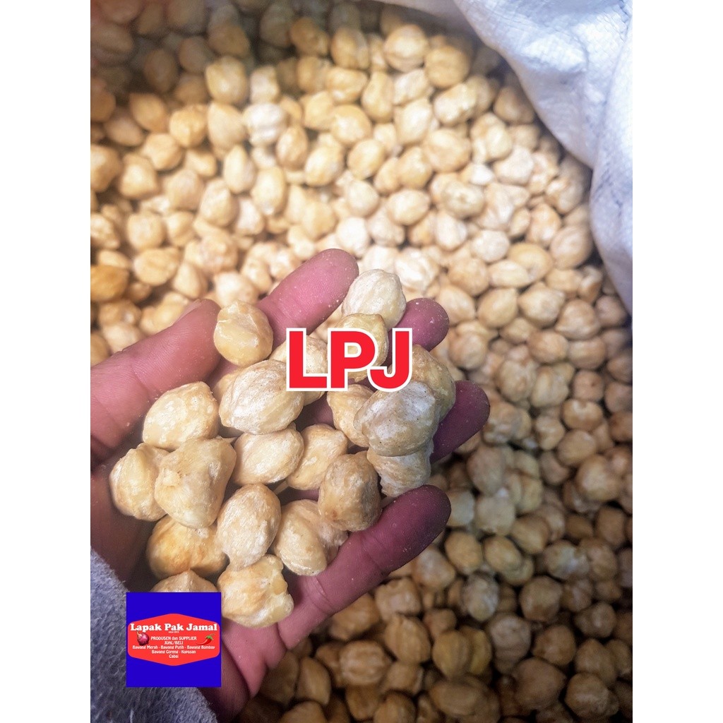 

Kemiri BULAT - 250 Gram - LPJ