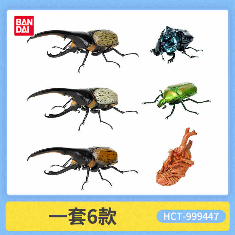 Hot Original Bandai Biology Illustrated Guide Insects Series Beetle Different Style Models