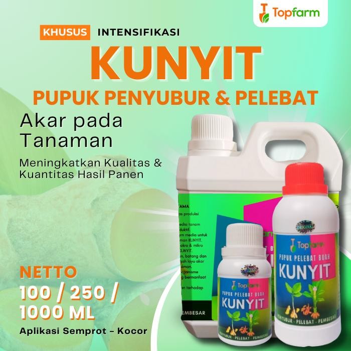 

Terlaris Pupuk Booster Kunyit / Pupuk Penyubur Tanaman Kunyit / Pupuk Cair Pembesar Rimpang Kunyit /