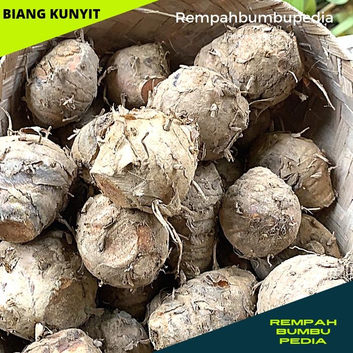 

Terlaris Biang Kunyit Segar