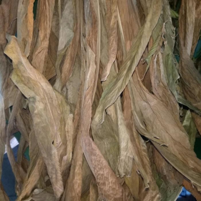 

Terlaris Daun Kunyit Kering Bumbu Rempah Pack