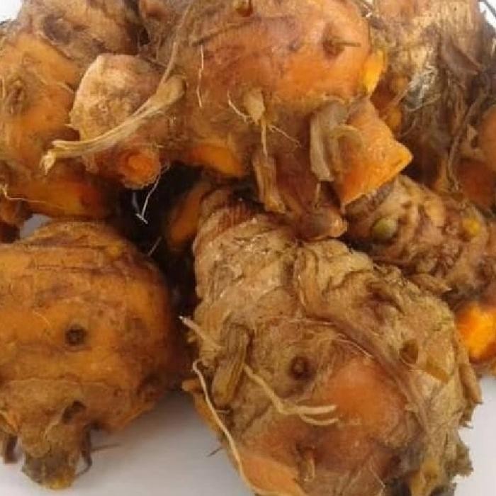 

Terlaris Kepala Kunyit / Biang Kunyit - 250Gr