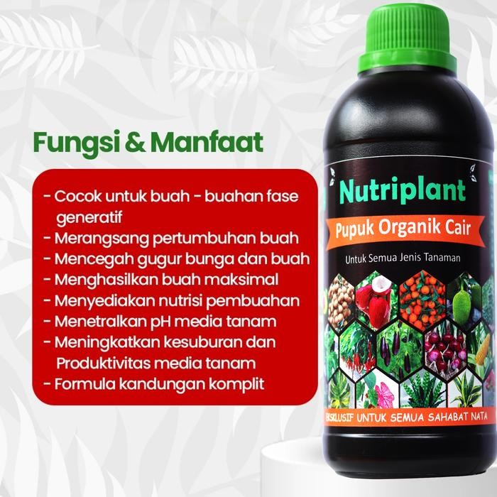 Nirwana Gardenss Pupuk Organik Cair Cabai Nutrisi Tanaman Cabai Pupuk Organik Cair Cabai Rawit