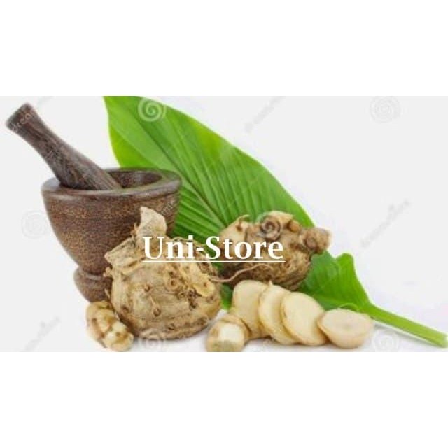 

Terlaris 100Gr Temu Putih Segar Kunyit Kunir Murah