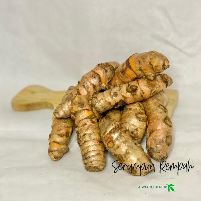 

Terlaris Kunyit 1 Kg