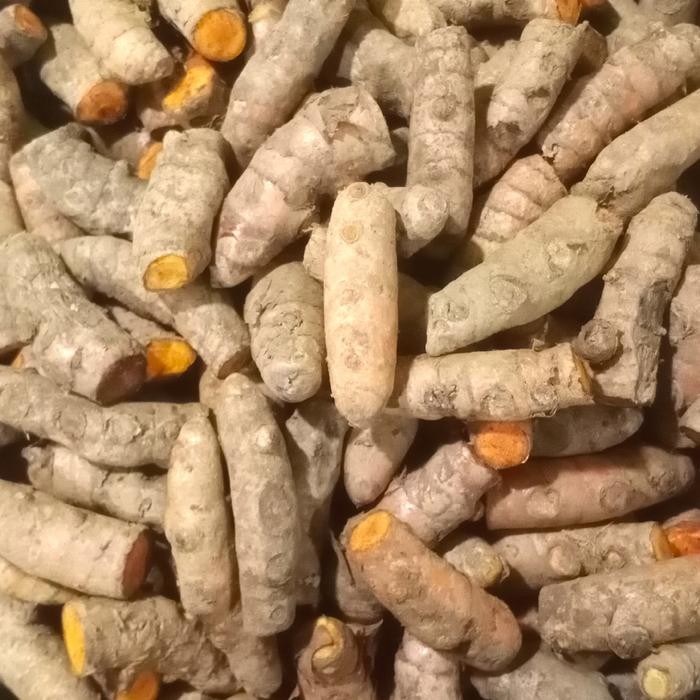 

Terlaris Kunyit Segar Ukuran Kecil 500 Gr / Kunyit Leles
