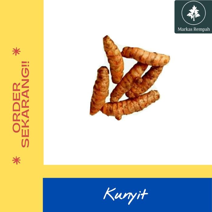 

Terlaris Kunyit Kualitas Super Ukuran Besar 250 Gram