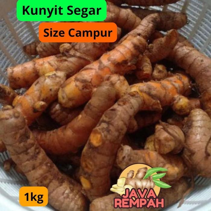 

Terlaris Kunyit Kunyit Kuning Kunir Kuning Segar 1Kg Ukuran Abras