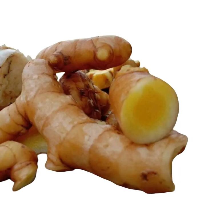 

Terlaris Kunyit Mangga Sayur Beku Isi 1 Kg